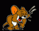 image002.gif
